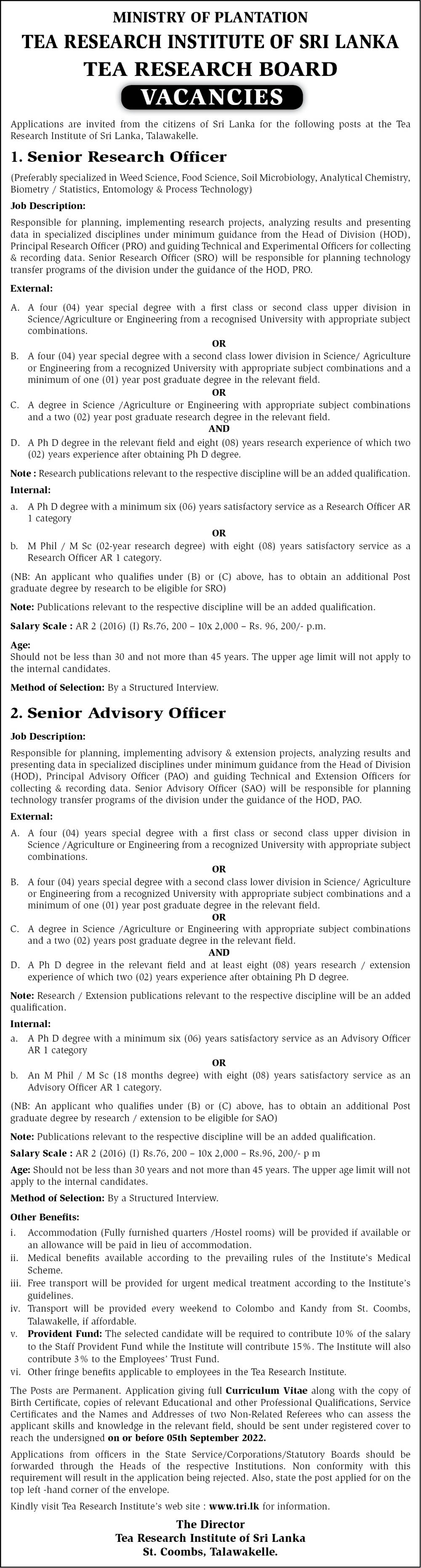 You are currently viewing Senior Research Officer / Senior Advisory Officer