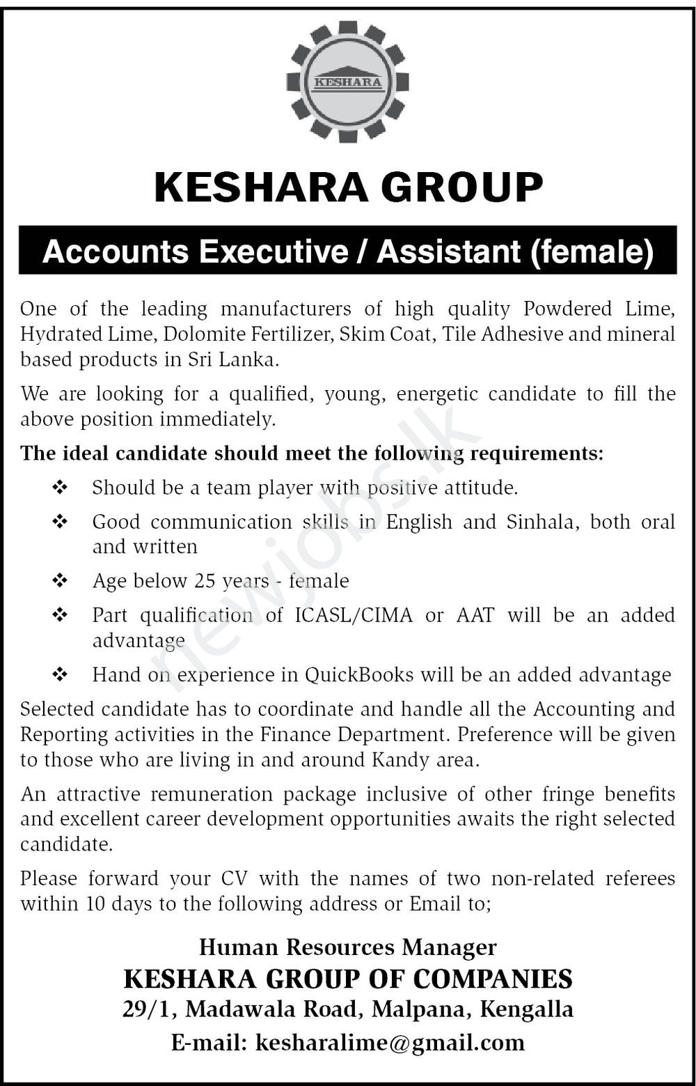 You are currently viewing Accountant Executive / Assistant