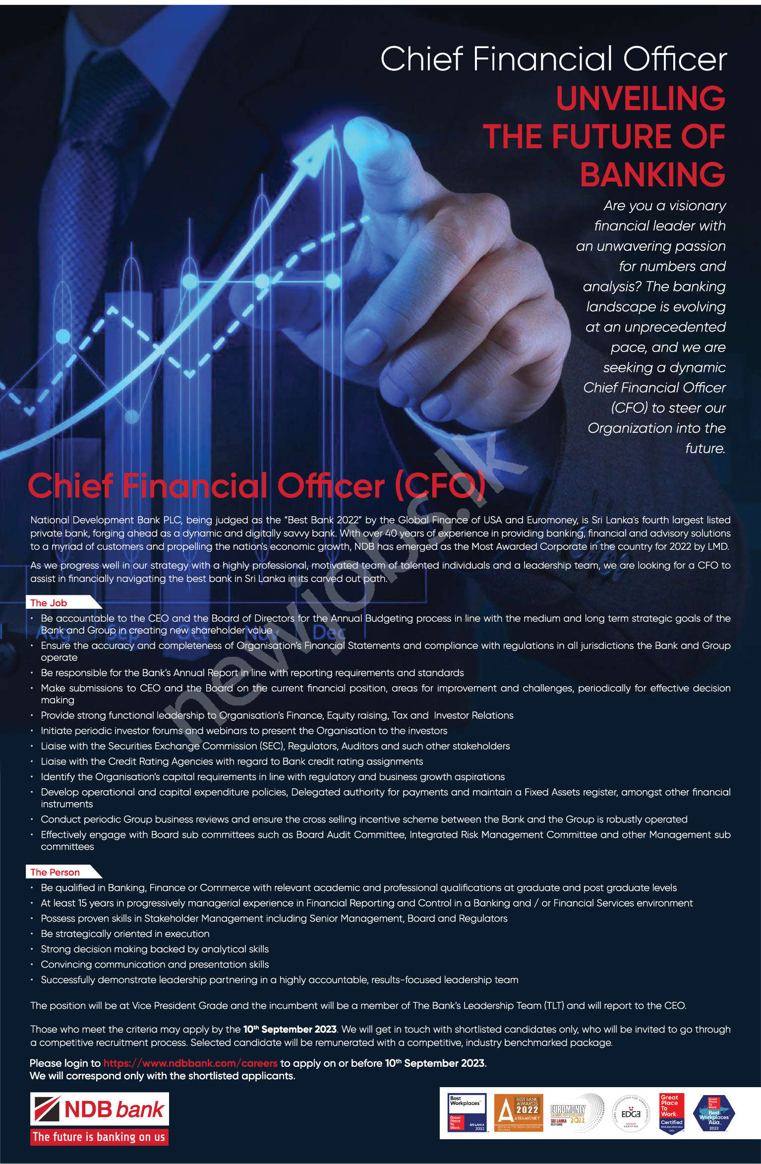 You are currently viewing Chief Financial Officer (CFO)