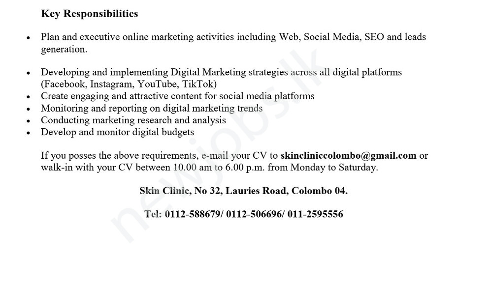 You are currently viewing Digital Marketing Specialist