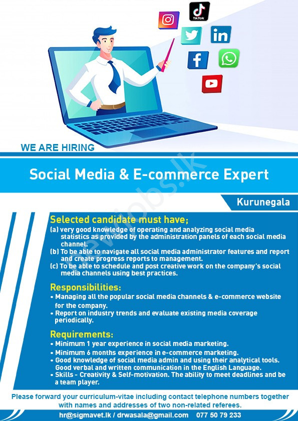 You are currently viewing Social Media & E-Commerce Expert