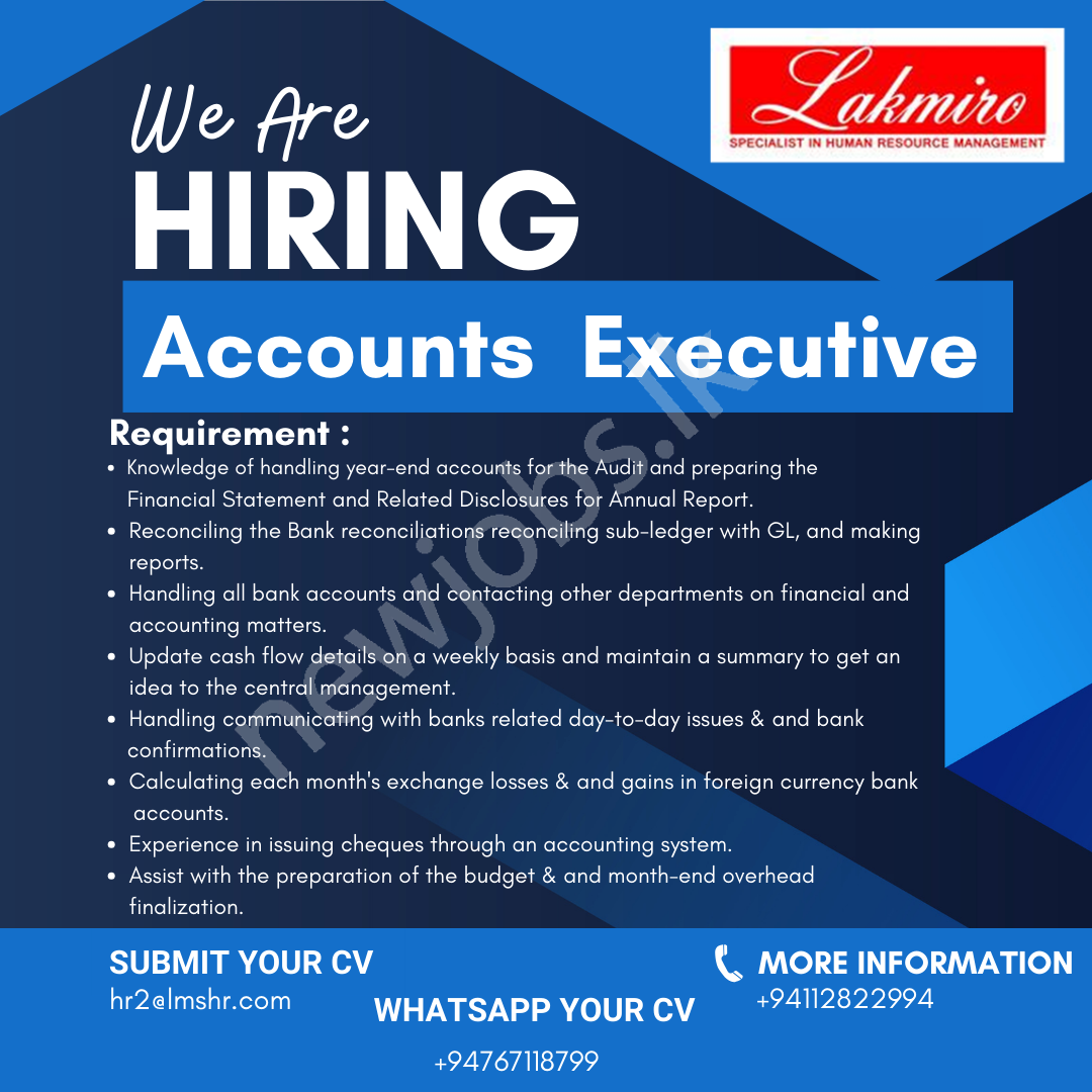 You are currently viewing Account Executive