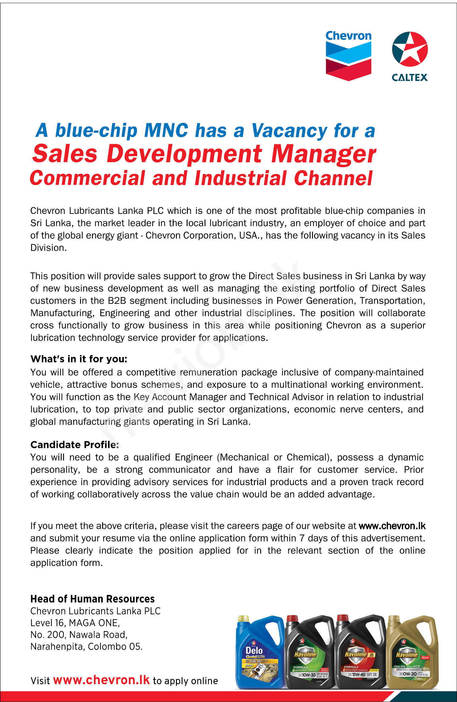 You are currently viewing Sales Development Manager