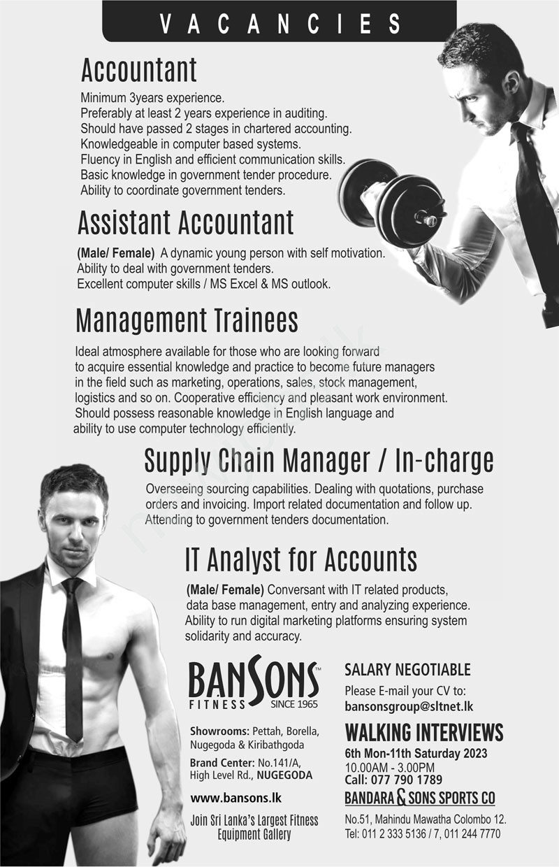 You are currently viewing Accountant / Assistant Accountant