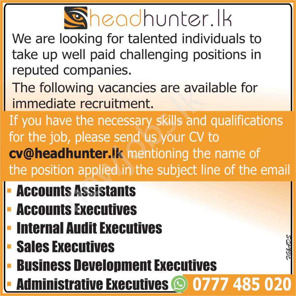 You are currently viewing Internal Audit Executive