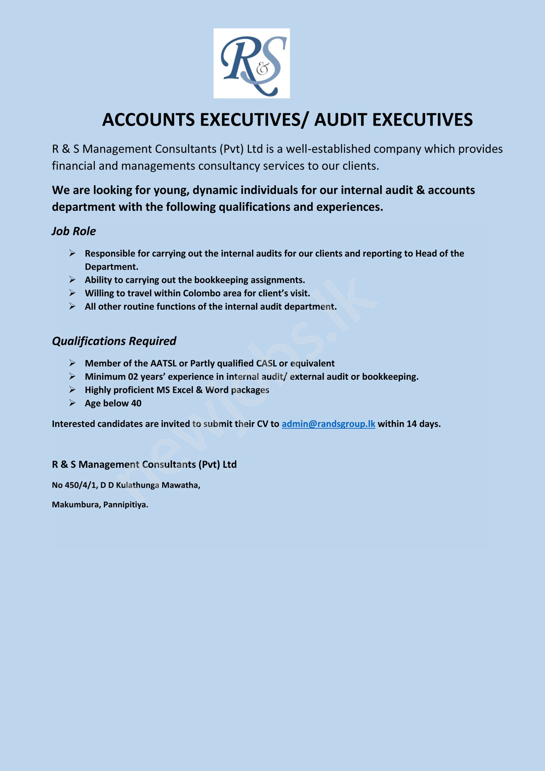 You are currently viewing Audit Executive