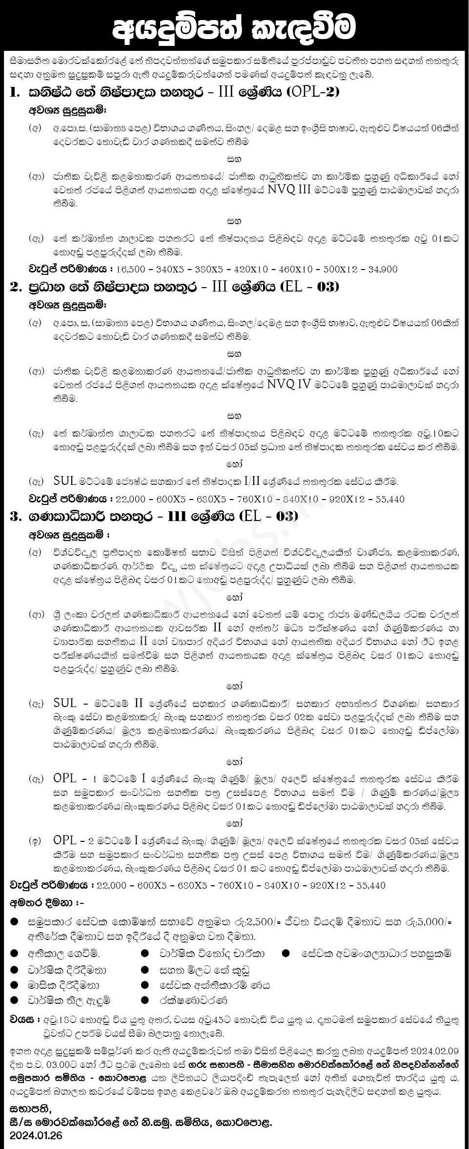You are currently viewing Main Tea Producer – Grade III