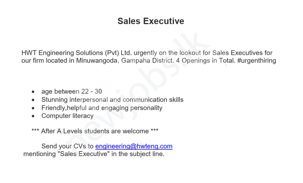 You are currently viewing Sales Executive