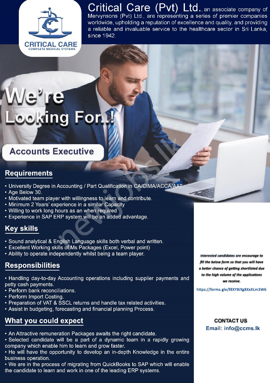 You are currently viewing Accounts Executive