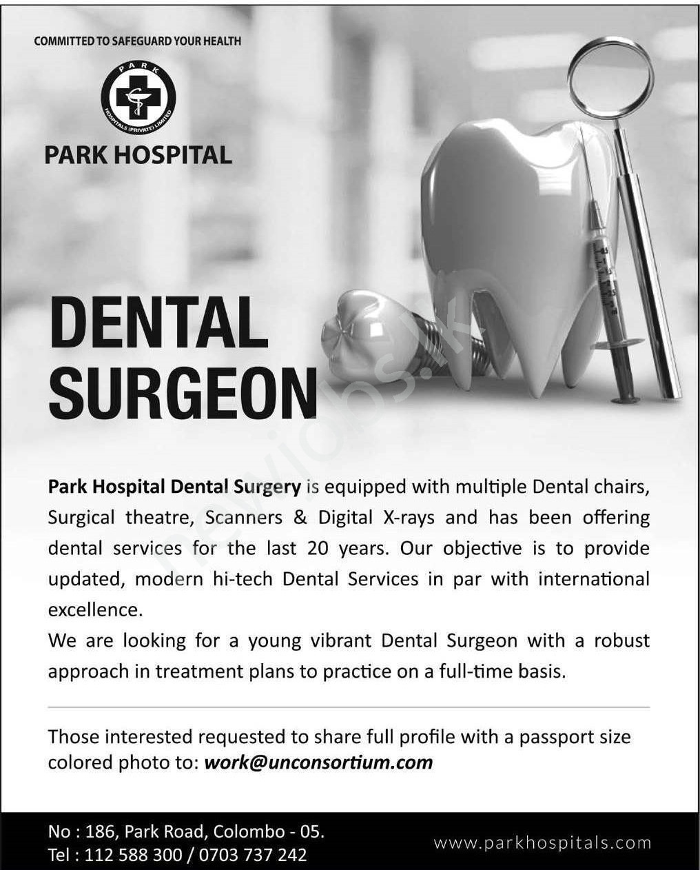 You are currently viewing Dental Surgeon