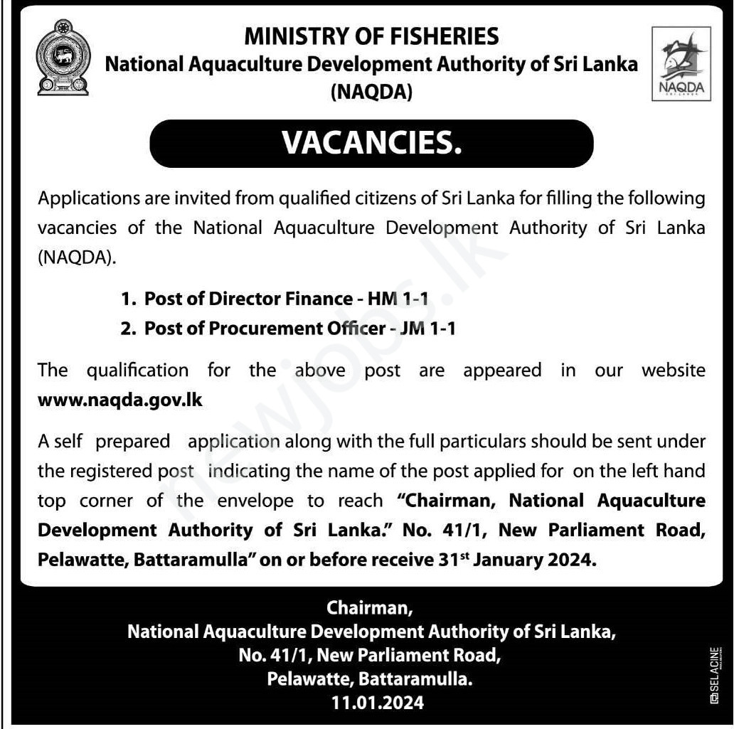 You are currently viewing Procurement Officer