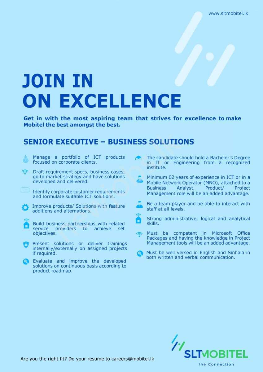 You are currently viewing Senior Executive-Business Solutions