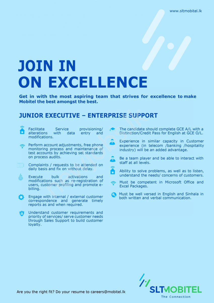 You are currently viewing Junior Executive-Enterprise Support