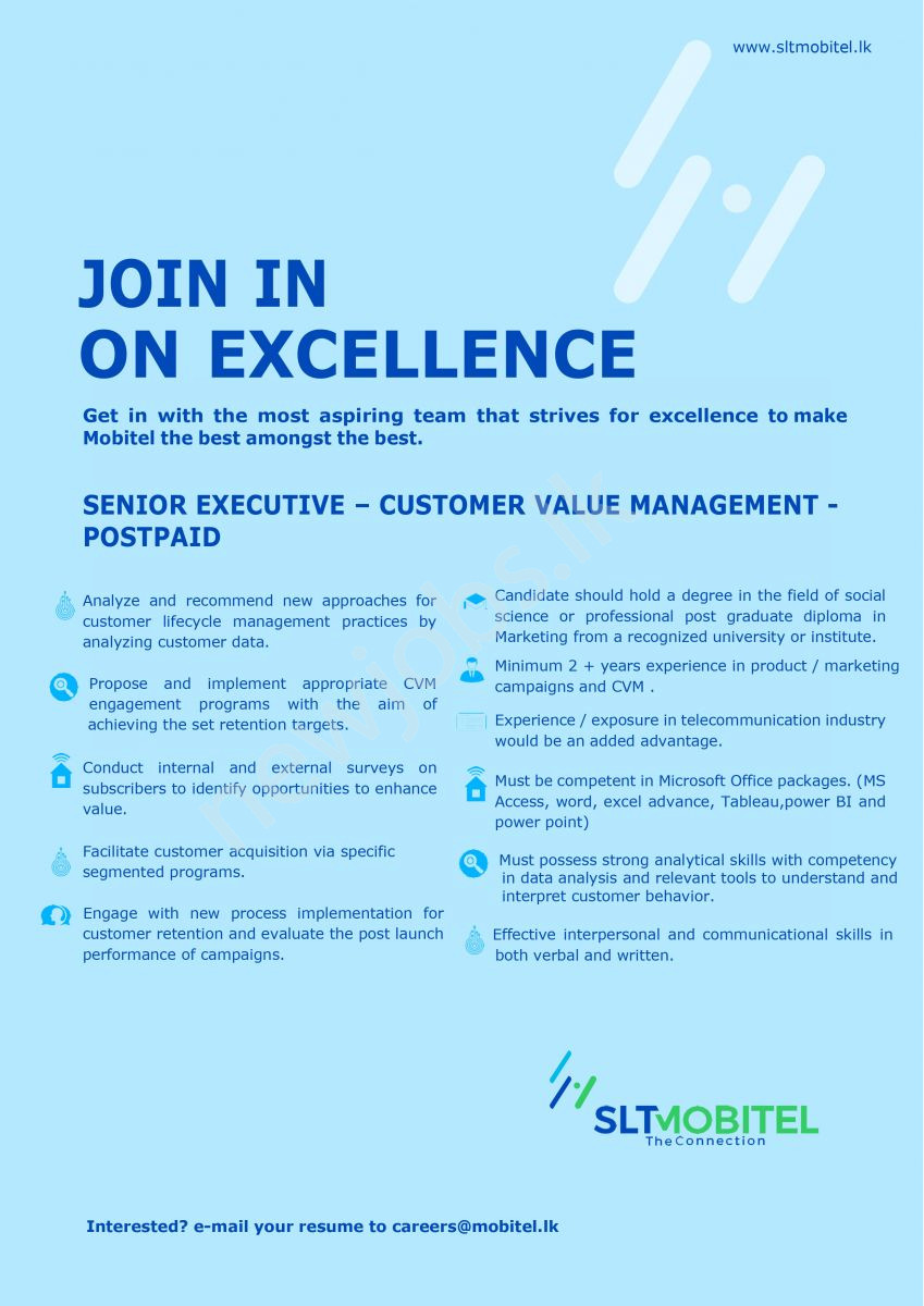 You are currently viewing Senior Executive – Customer Value Management-postpaid