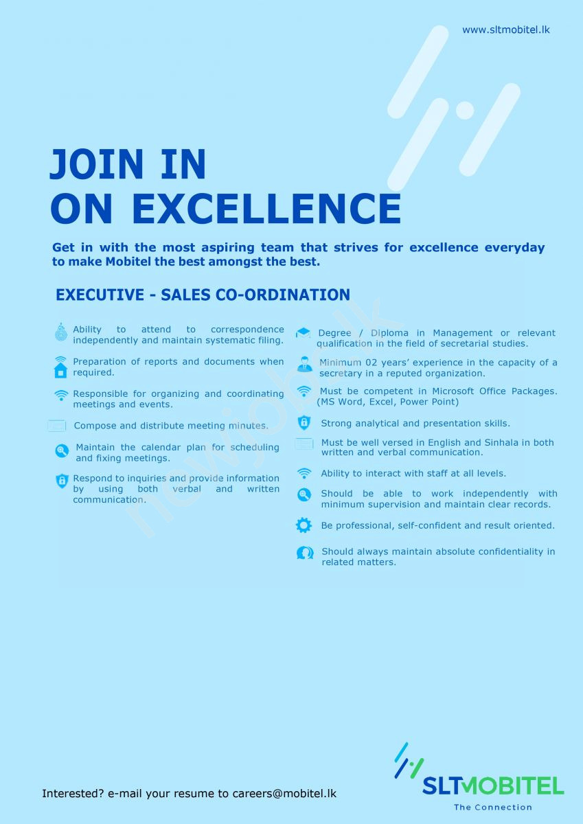You are currently viewing Executive – Sales Co-ordination