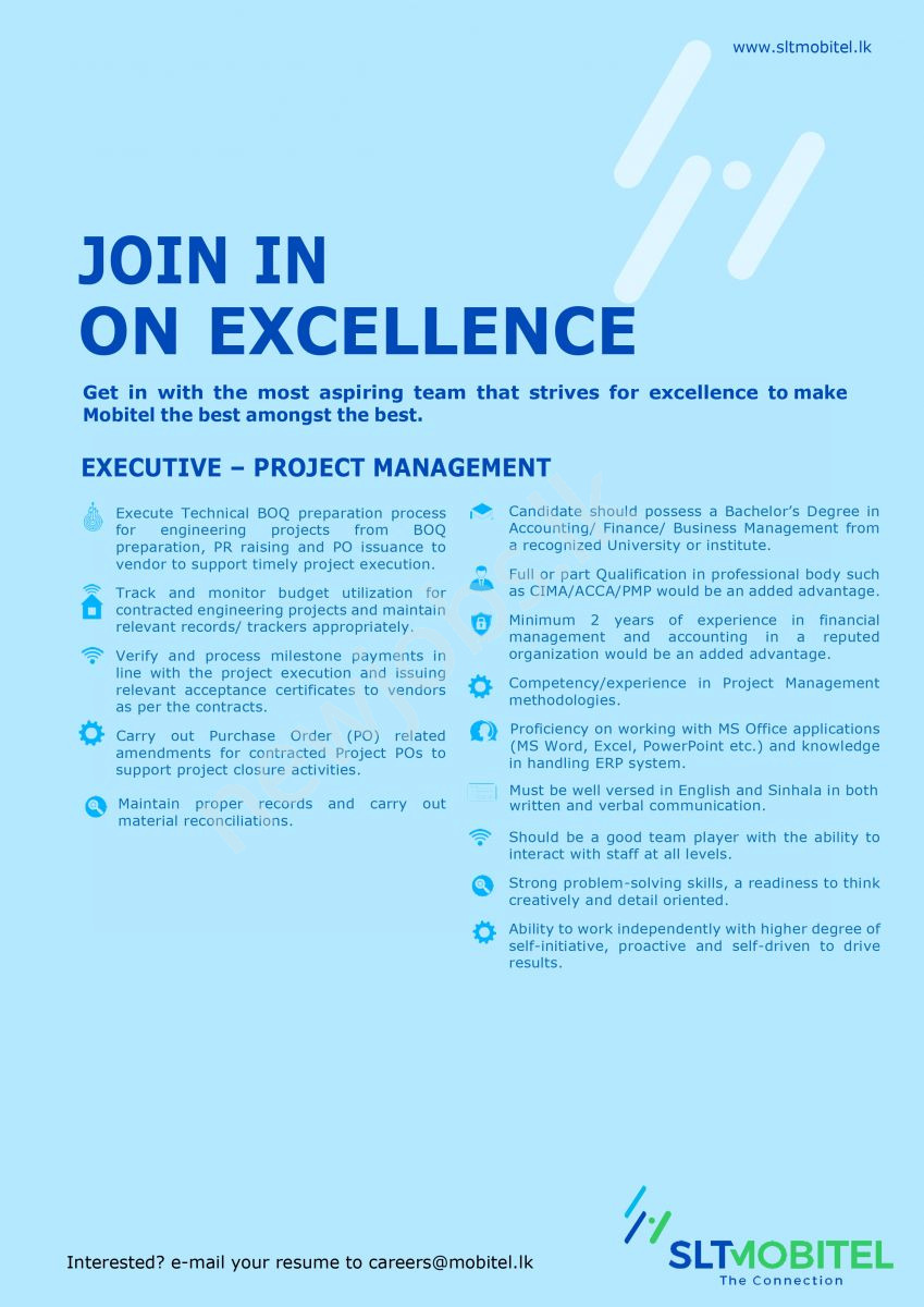 You are currently viewing Executive – Project Management