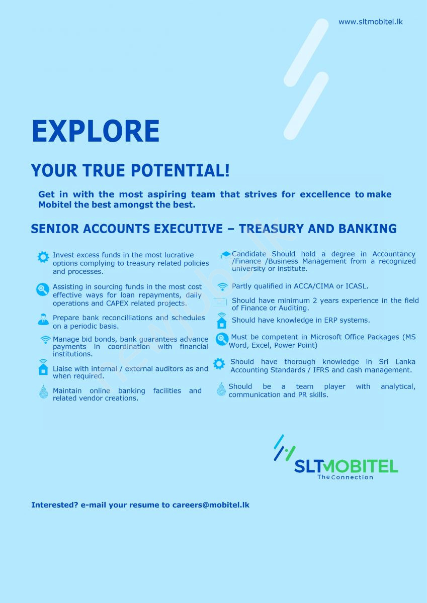 You are currently viewing Senior Accounts Executive-Treasury & Banking