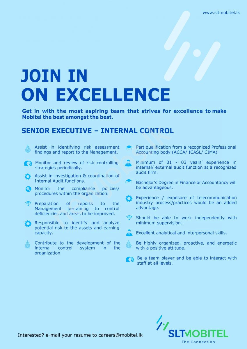 You are currently viewing Senior Executive-Internal Control