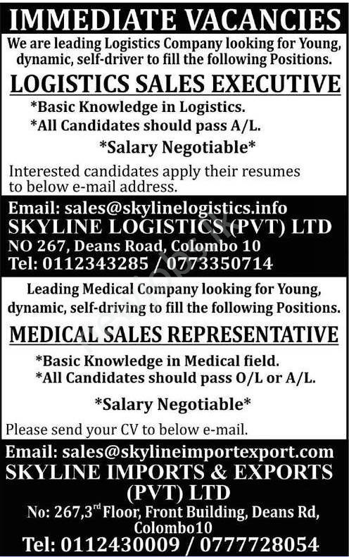 You are currently viewing Procurement & Logistics Executive